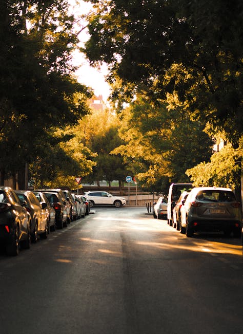 A residential street in Crouch End lined with parked cars on both sides, with the road paved in asphalt and surrounded by tall, leafy trees casting dappled sunlight onto the pavement. The street appears to be quiet, with no moving vehicles or pedestrians visible. In the background, a small traffic sign and a low fence are visible, indicating a typical suburban neighbourhood setting. The scene, captured during late afternoon or early evening, provides a calm environment suitable for home relocation activities. Man with Van Haringey often manages such streets for house removals, efficiently navigating narrow streets and managing parking restrictions during furniture transport and packing processes. The image reflects the typical environment in which professional removal services operate for house clearance and transportation within the area.