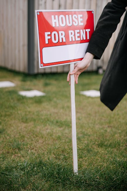 A person wearing a dark suit jacket is standing outdoors on a grassy area, holding a white wooden stake with a red and white sign attached that reads 'HOUSE FOR RENT' in bold capital letters. The sign is positioned vertically and partially obscures the person's arm. In the background, there is a wooden fence and a well-maintained garden with small paving stones embedded in the grass, suggesting a residential property. This scene relates to house rental signage, which may be associated with property management or real estate services, and the image context links to home relocation and property advertising, relevant to the services offered by Man with Van Haringey.